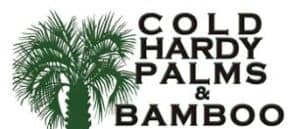 Cold Hardy Palms & Bamboo - Tree Sales - Charleston, SC