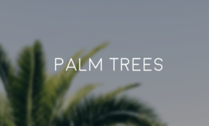 Palm Trees Sales and Installation Charleston, SC