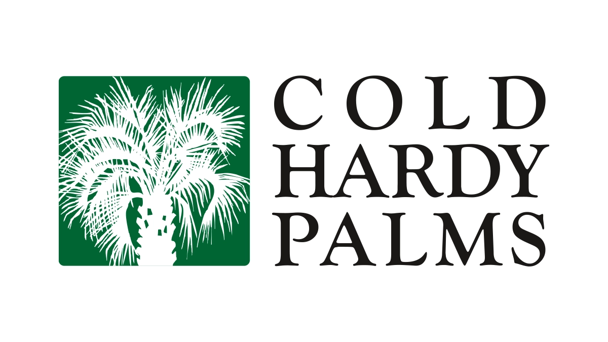 Palm Trees Charleston SC – Cold Hardy Palms